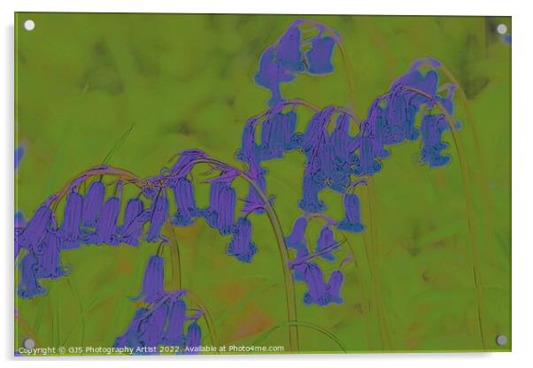 Bluebells Contrast Acrylic by GJS Photography Artist