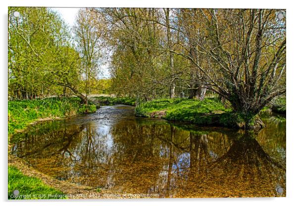 Tree Shaddows in the River Acrylic by GJS Photography Artist