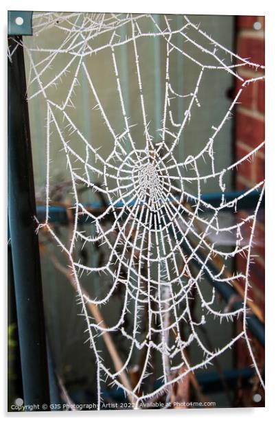 Frozen Cob Webs Holding Up Greenhouse Acrylic by GJS Photography Artist