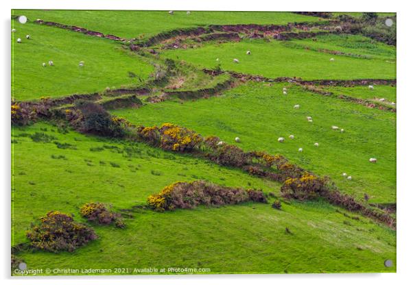 grasslands at Dingle Acrylic by Christian Lademann