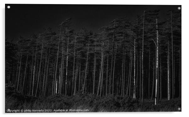 Newborough Forest Acrylic by philip kennedy
