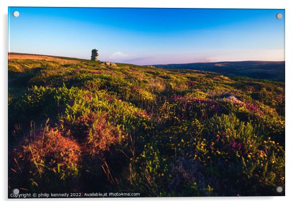 Dartmoor Acrylic by philip kennedy