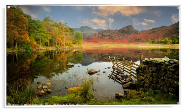 Blea Tarn in the lake district Acrylic by philip kennedy