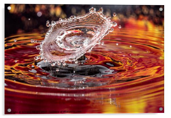 Water Drop Collision as an Inverted Cone Acrylic by Antonio Ribeiro