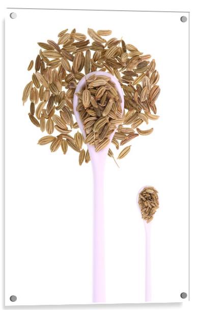 Fennel Seeds Acrylic by Antonio Ribeiro