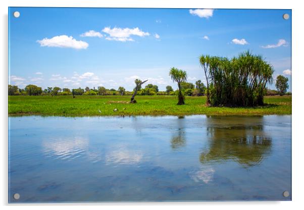 Kakadu Yellow Water (Ngurrungurrudjba) Wetlands  Acrylic by Antonio Ribeiro