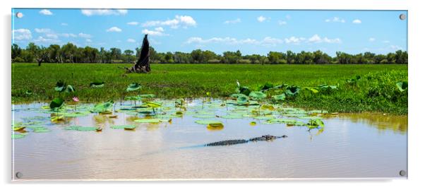 Kakadu Large Saltwater Crocodile Acrylic by Antonio Ribeiro