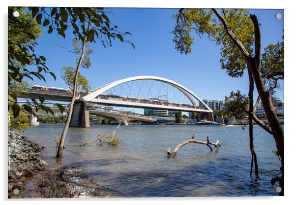 Brisbane Merivale Bridge over the Brisbane River Acrylic by Antonio Ribeiro