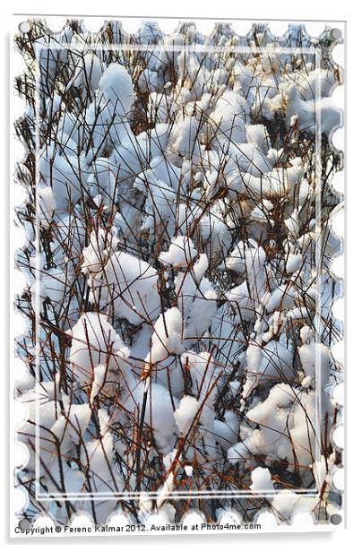 winter stamp Acrylic by Ferenc Kalmar