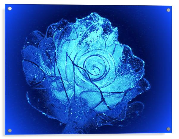 Blue Crystal Rose R 2D Acrylic by Ferenc Kalmar