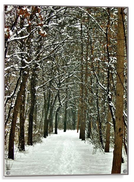 Snowy Way Acrylic by Ferenc Kalmar