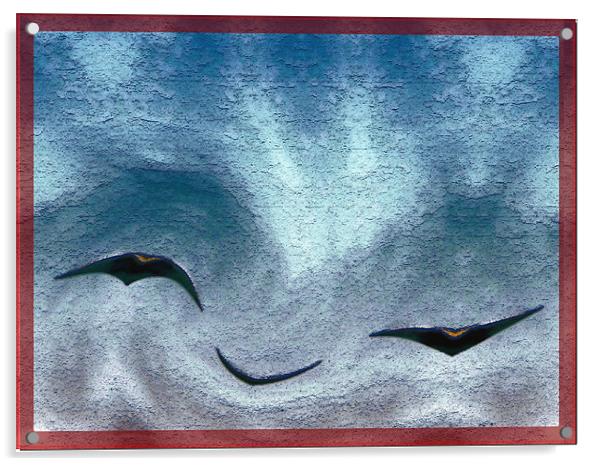 Birds Acrylic by Ferenc Kalmar