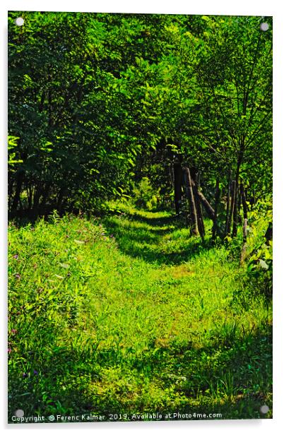 summer corridor Acrylic by Ferenc Kalmar