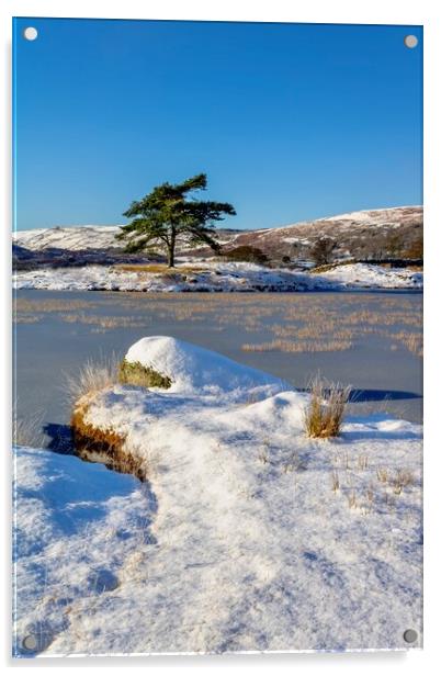 Winter Wonderland Acrylic by Jack Marsden