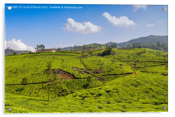 Tea Gardens of Munnar Acrylic by Lucas D'Souza