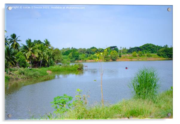 Backwaters  Acrylic by Lucas D'Souza