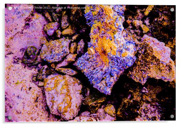 Colourful rocks on the beach Acrylic by Lucas D'Souza