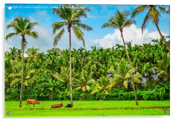 Coconut and areca nut farming Acrylic by Lucas D'Souza