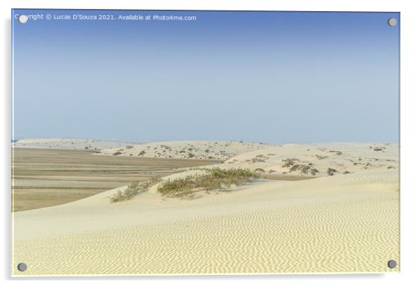 Desert landscape Acrylic by Lucas D'Souza
