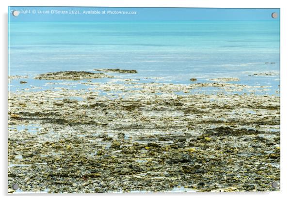 Colorful rocky beach of Al-Ghariya, Qatar Acrylic by Lucas D'Souza