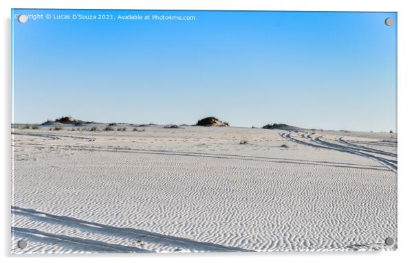 Tracks on desert sand Acrylic by Lucas D'Souza