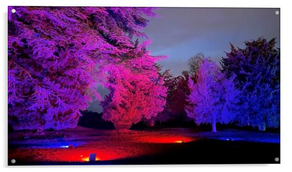 Trentham gardens trees lit at Christmas  Acrylic by Daryl Pritchard videos