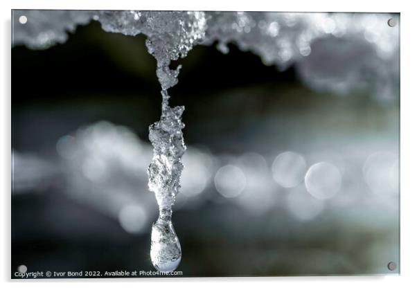Frozen drops of water Acrylic by Ivor Bond