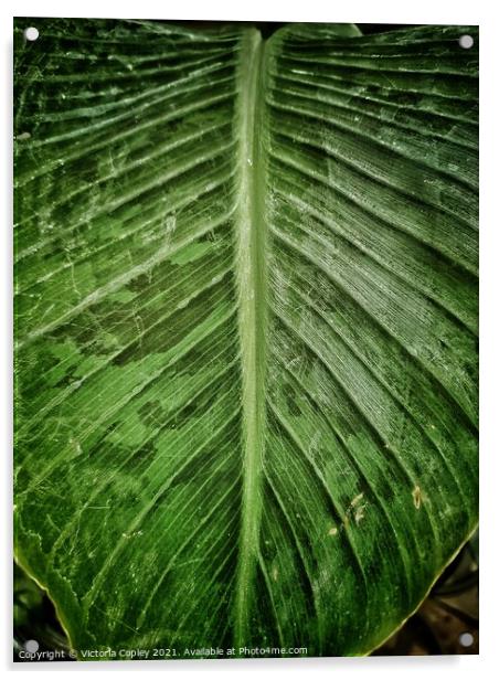 Green leaf Acrylic by Victoria Copley