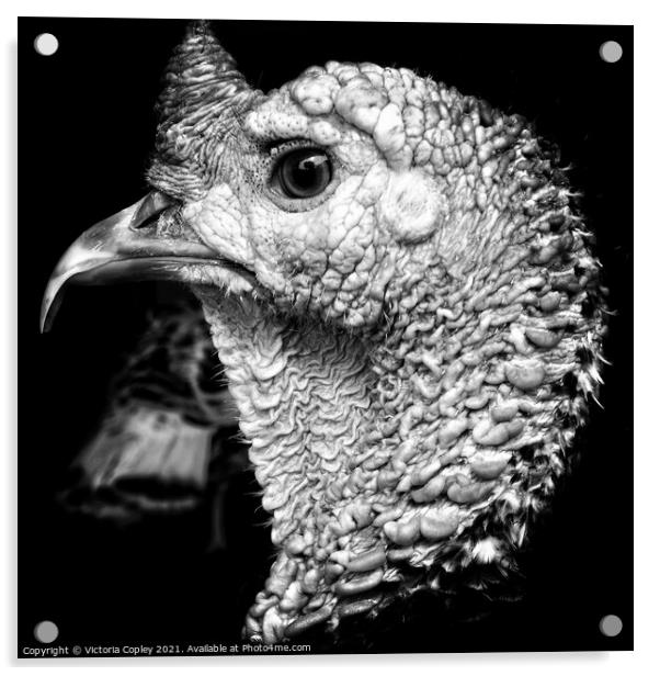 Monochrome turkey Acrylic by Victoria Copley