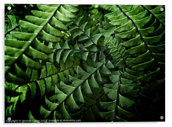 Abstract ferns Acrylic by Victoria Copley