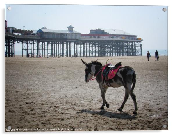 Donkeys at Blackpool Acrylic by Victoria Copley