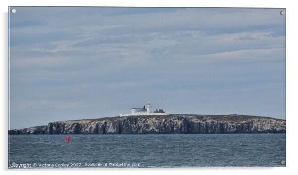 Inner Farne Lighthouse Acrylic by Victoria Copley