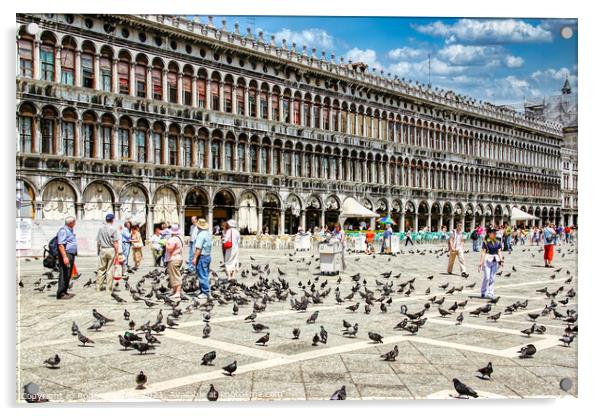Piazza San Marco's Bird Feeding Frenzy Acrylic by Roger Mechan