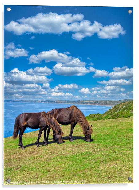 Coastal Horses Acrylic by Roger Mechan
