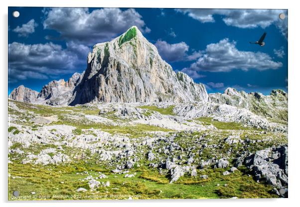 Towering Picos Peaks Acrylic by Roger Mechan