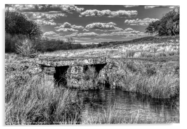 Granite bridge over Dartmoor stream Acrylic by Roger Mechan