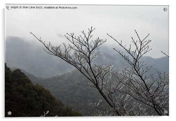 Ice trees in Xihu mountains Acrylic by Stan Lihai