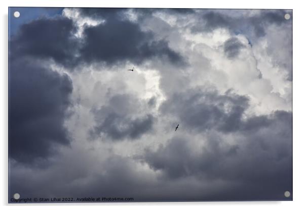 Seagulls in dramatic sky Acrylic by Stan Lihai