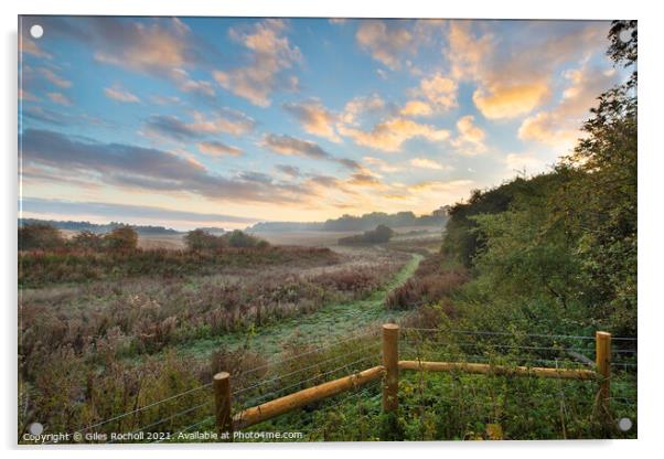 Misty morning Berkshire Acrylic by Giles Rocholl