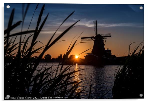 Zaanse Schans windmill Holland Acrylic by Giles Rocholl