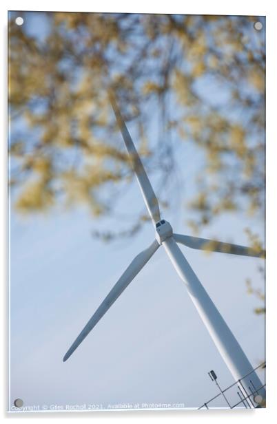 Wind turbine and tree foliage Acrylic by Giles Rocholl