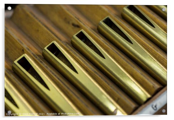 Metal organ pipe reeds Acrylic by Giles Rocholl