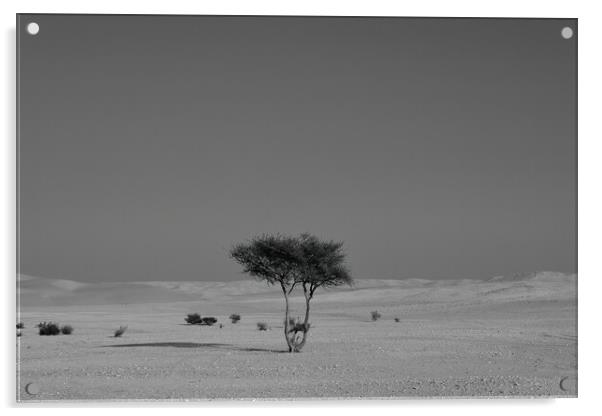Alone in the desert Acrylic by Dimitrios Paterakis