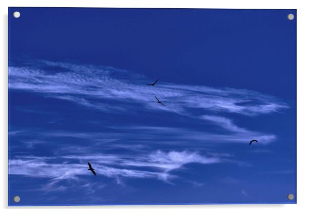Fly high Acrylic by Dimitrios Paterakis