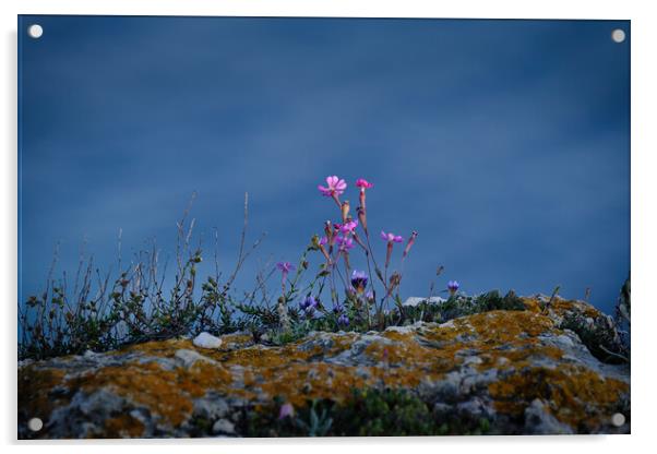 Beauty at the edge Acrylic by Dimitrios Paterakis