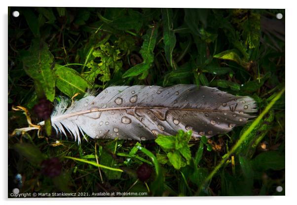 Droplets on a feather Acrylic by Marta Stankiewicz
