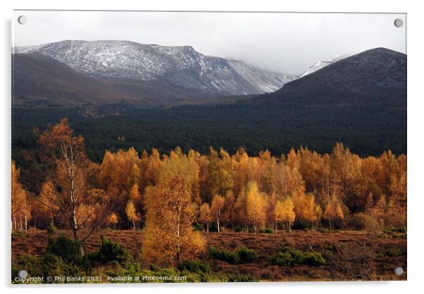Golden Lairig Ghru - Cairngorm Mountains Acrylic by Phil Banks
