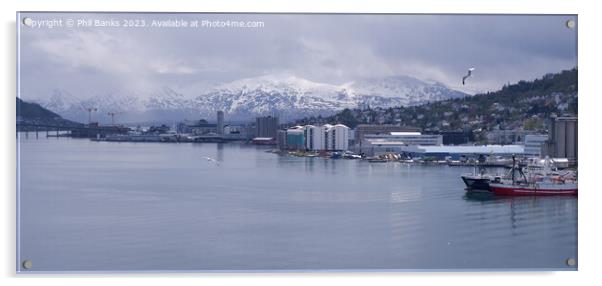 Tromso in Northern Norway on a bright day in early June Acrylic by Phil Banks