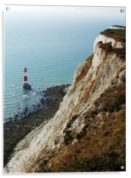 Beachy Head Cliffs and Lighthouse  Acrylic by Phil Banks