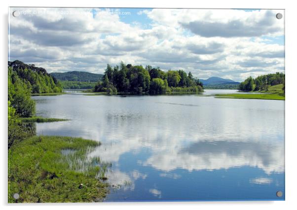 Loch Insh in early summer Acrylic by Phil Banks